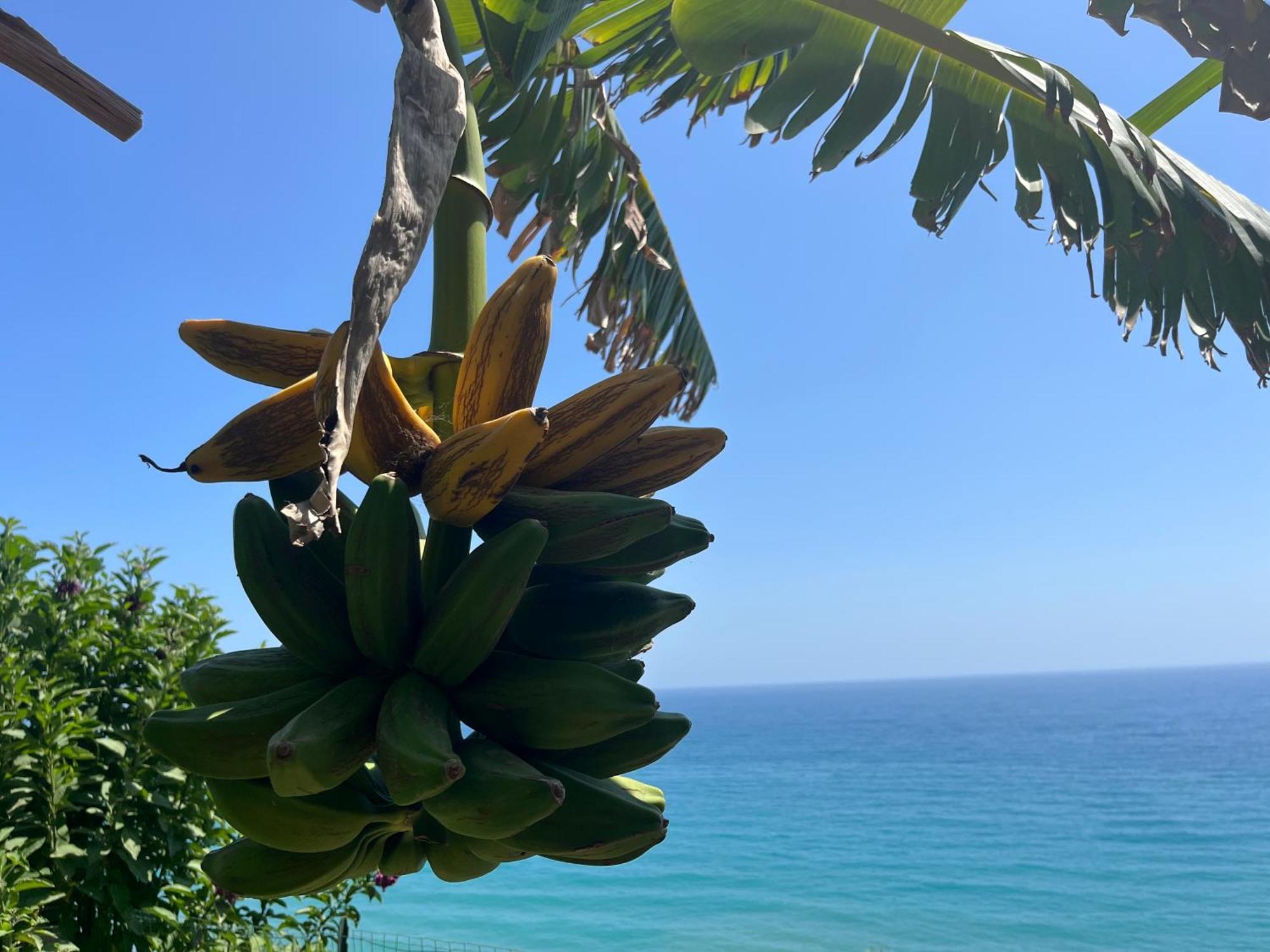 Vila Casa Monnalisa - Calandre Sabbie Oro Ventimiglia Exteriér fotografie